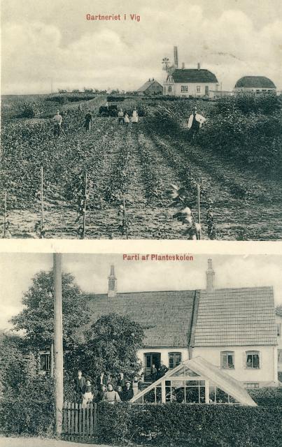 Vig Gartneri omkring 1920 (B1755)