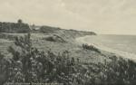 Stranden ved Veddinge Bakker, ca. 1940 (B2340)