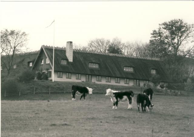 Veddingevej 14, Høve (B1345)