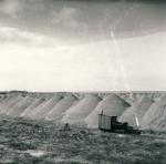 Yderby Skærvefabrik - Stenlejerne - ca. 1950 (B2437)