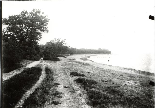 Parti fra Høve Strand omkring år 1900 (B1138)