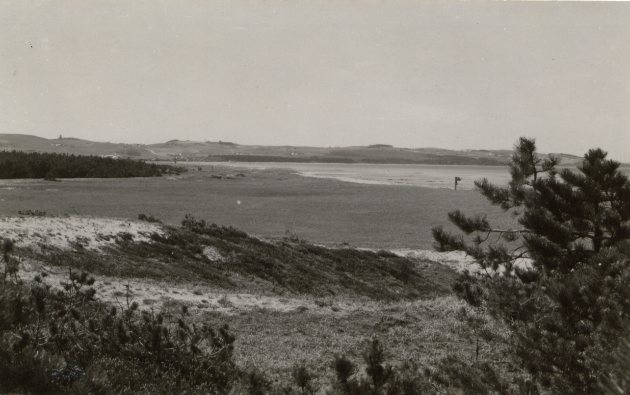 Parti fra Høve Strand ca. 1920 (B1159)