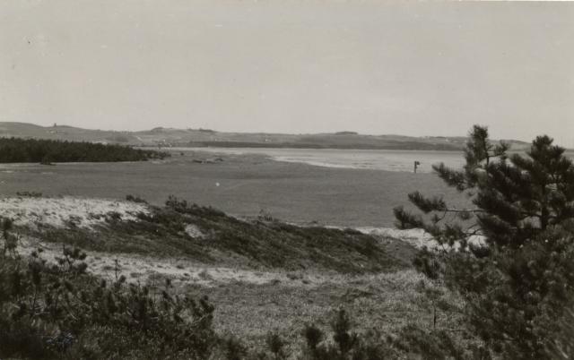 Parti fra Høve Strand ca. 1920 (B1159)