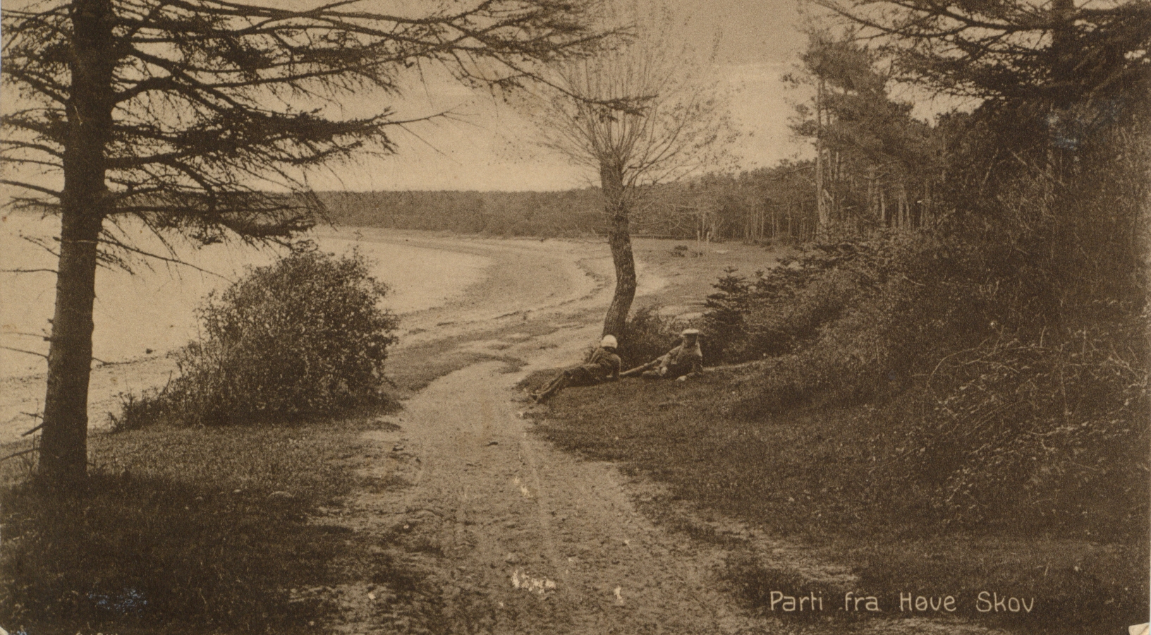 Parti fra Høve Skov ca. 1910 (B1162)