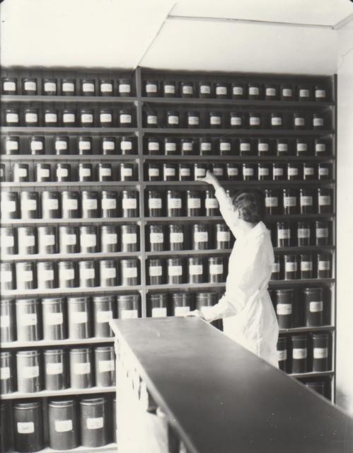 Interiør af Asnæs Apotek ca. 1935 (B1191)