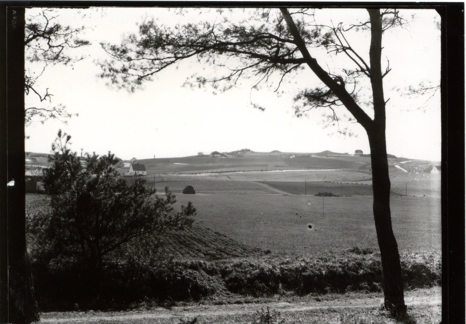 Udsigt nede fra Høve Skov op mod Esterhøj ca. 1930 (B1267)