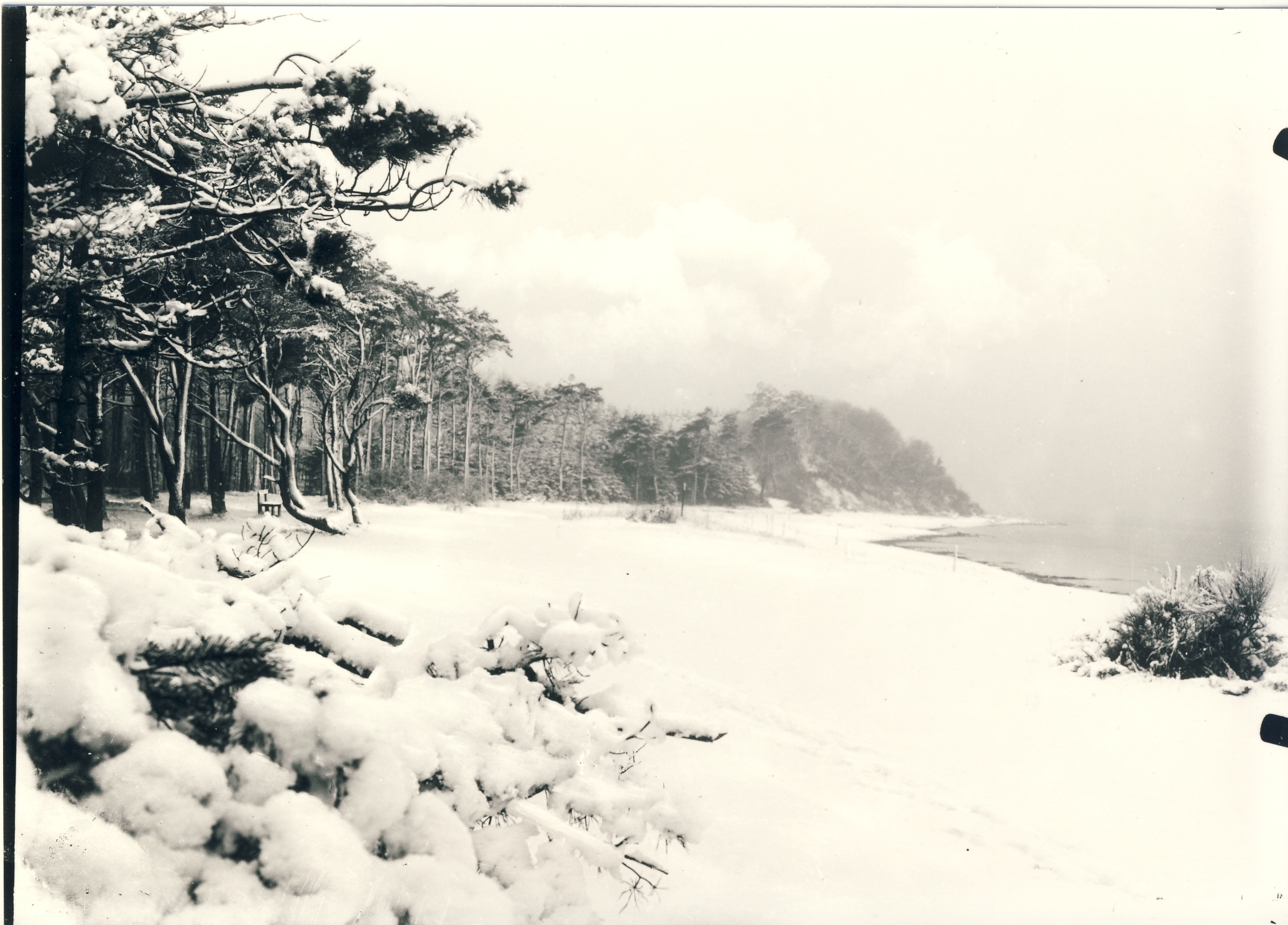 Sneklædt parti af Høve Strand ca. 1930 (B1362)
