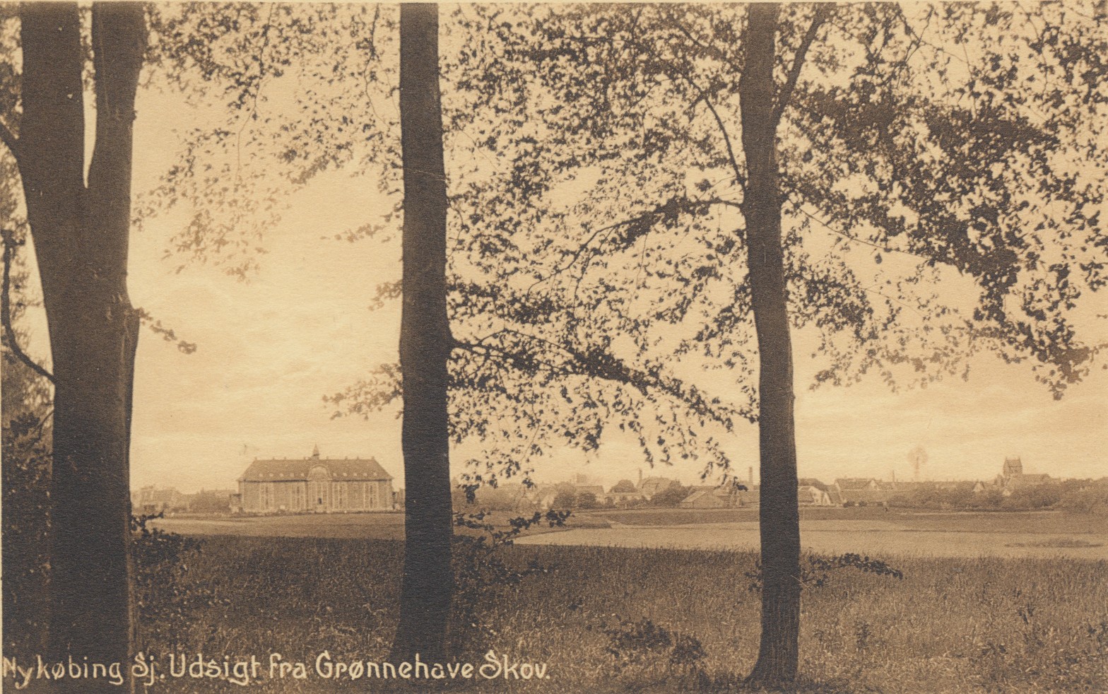 Udsigt fra Grønnehaveskov ca. 1910 (b90021)