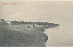 Strand ved Rørvig  - ca 1907  (B95114)