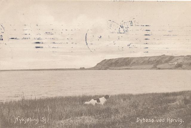 Dybesø, Elmedalsbakke  - 1908  (B95146)