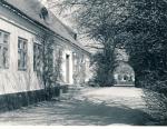 Et smukt forårsfoto af et parti af "Svinninge Møllegaard - omkring 1940 (B2010)