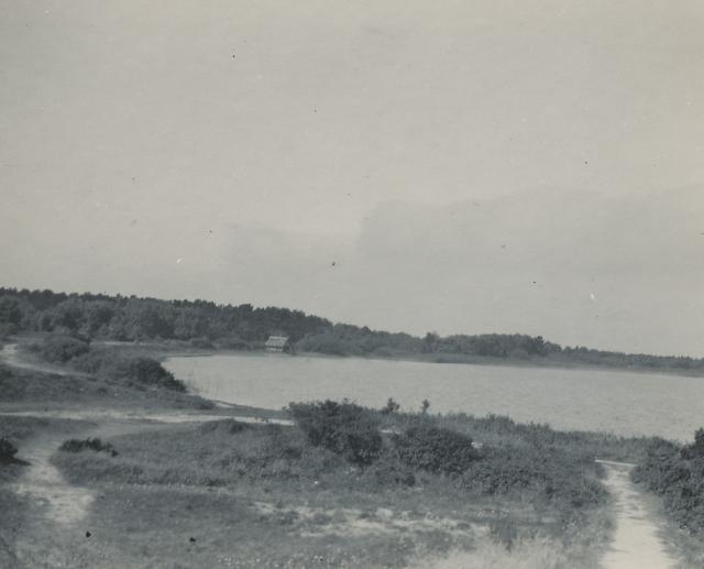 Dybesø, stier og bådehuset ca. 1935  (B95149)