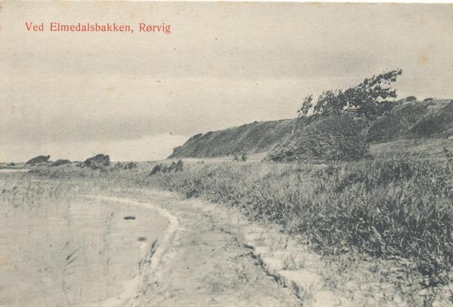 Et forblæst træ på søbredden ved Elmedalsbakken, Dybesø, Rørvig  - ca. 1908 (B95147)