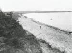 Stranden ved Sejerøbugten. Formentlig ved Hønsinge Lyng set mod syd - ca. 1940 (B2380)