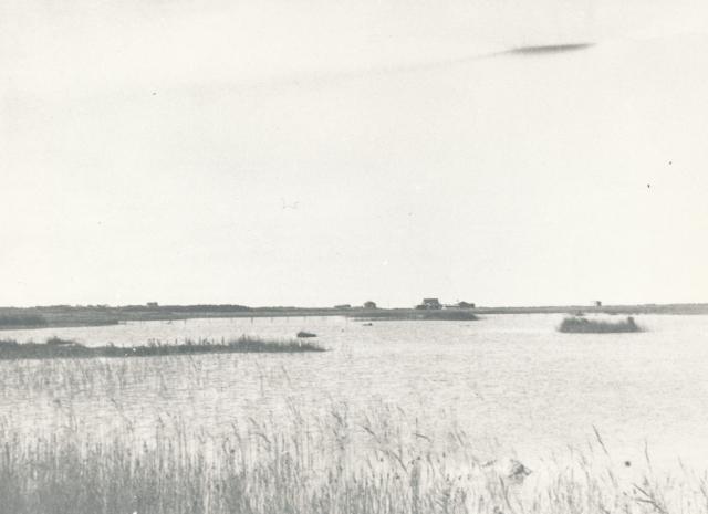 Dybesø udsigt  - 1930'erne  (B95180)