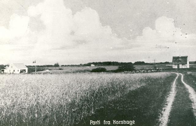 Korshage, Nørrevang  -  1930'erne  (B95364)