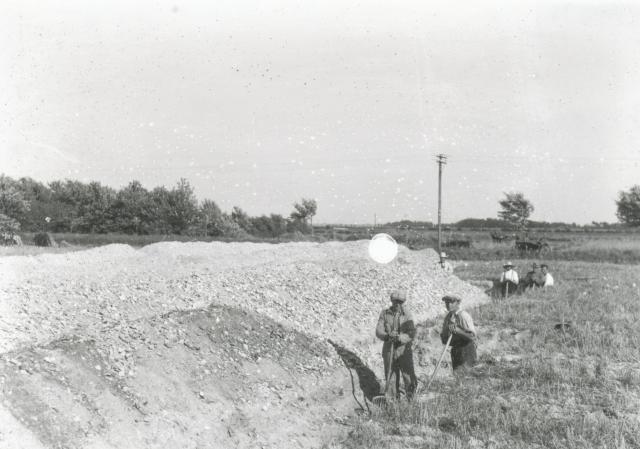 Skallegravning på Lammefjorden - ca. 1940 (B3186)
