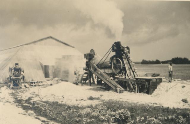Skallegravning ved Næsdal - ca. 1948 (B3220)