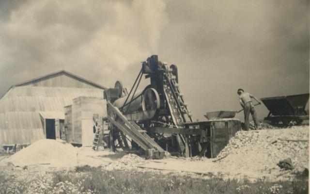 Skallegravning ved Næsdal - ca. 1948 (B3222)