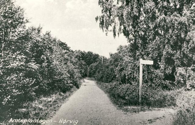 Amtsplantagen - Rørvig 1930erne (B95638)