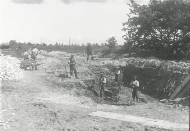 Skallegravning på Lammefjorden - ca. 1930 (B3253)