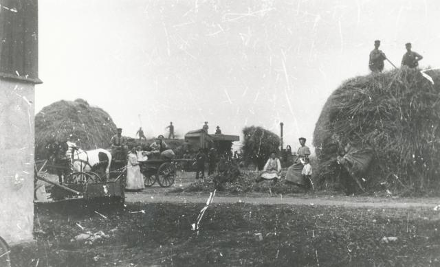 Tærskning på Lammefjorden - ca. 1890 (B3276)