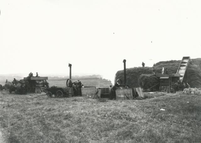 Lammefjorden. Tærskning - ca. 1900 (B3277)