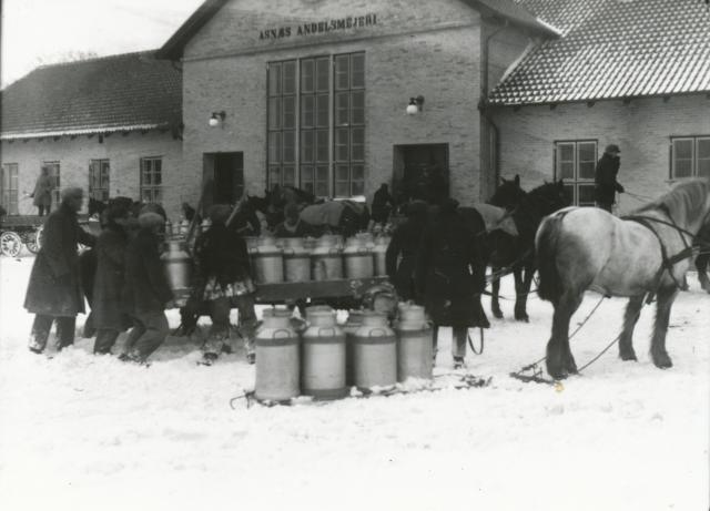 Asnæs Andelsmejeri. Mælkekørsel - ca. 1940 (B3328)