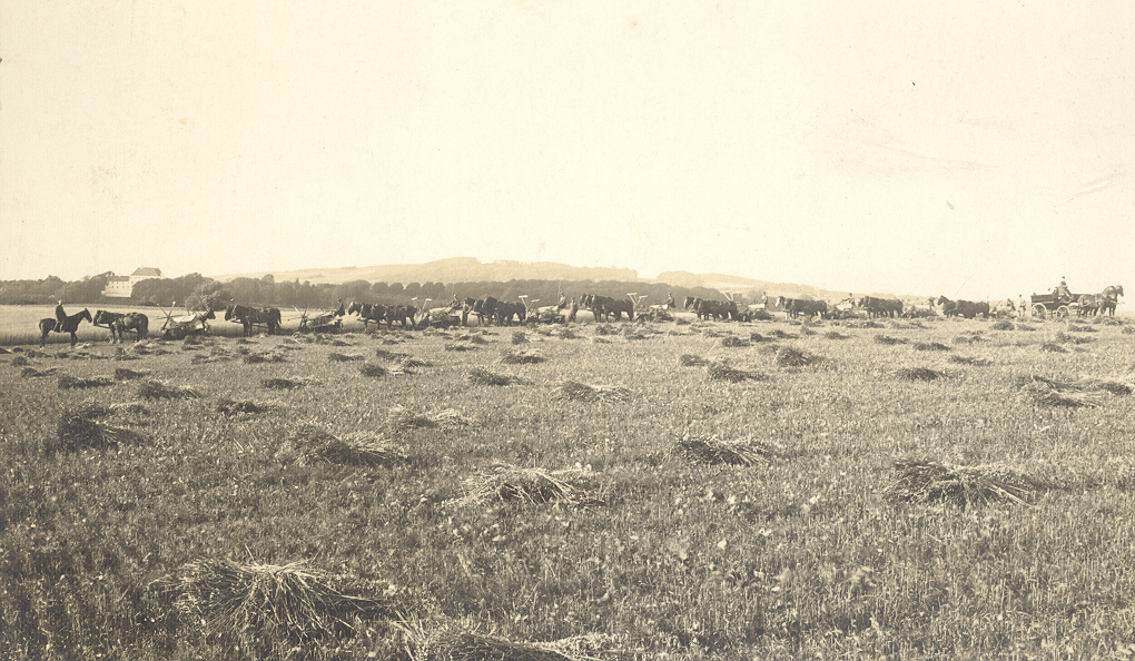 Høstarbejde omkring 1920 (B2067)
