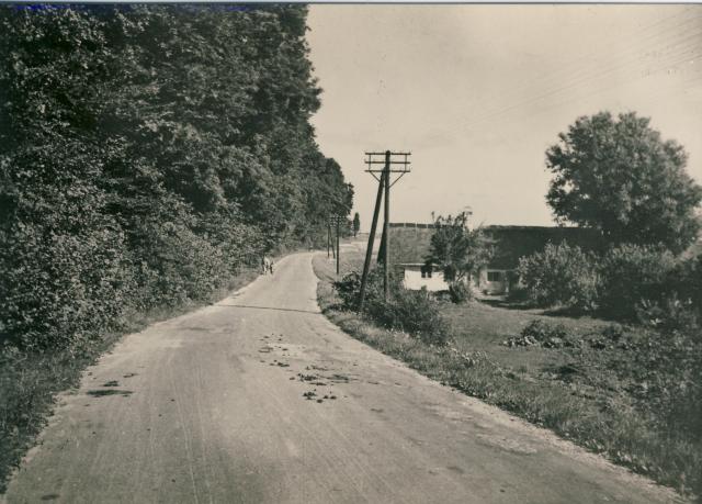 Egebjergvej ca. 1945 (B90639)