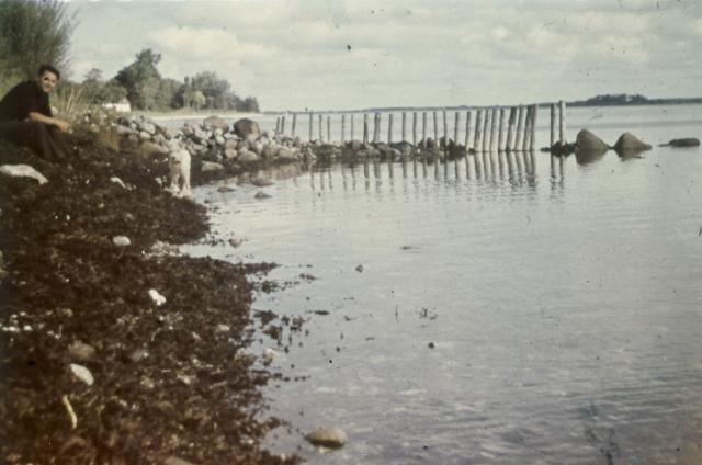 Egebjergvej ca. 1960 (B90680)