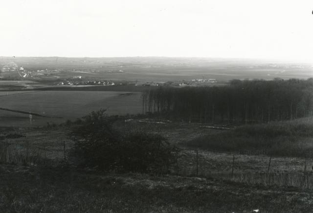 Udsigt fra Kulås Skov - ca. 1900 (B3395)