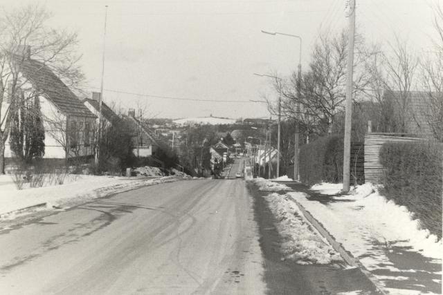 Udsigt fra Toftegårdsvej 50 - 1983 (B1887)