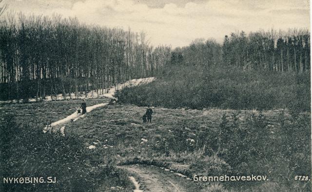 Grønnehave Skov 1912 (B90741)