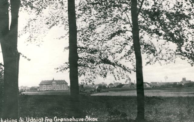 Grønnehave Skov ca. 1924 (B90748)