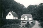 Skovløberhuset ca. 1930 (B90753)