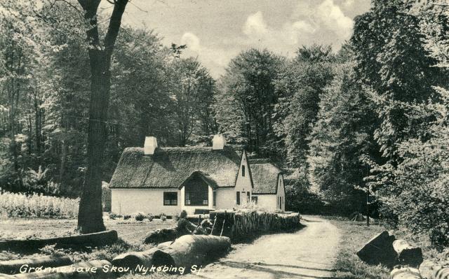 Skovløberhuset 1951 (B90756)