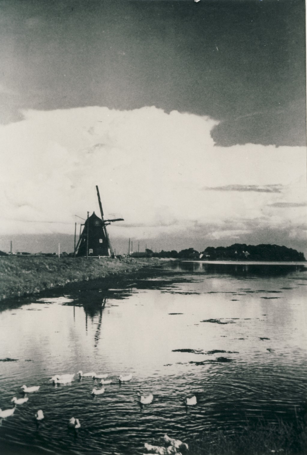 Ringholm Mølle ca. 1915 (B90847)
