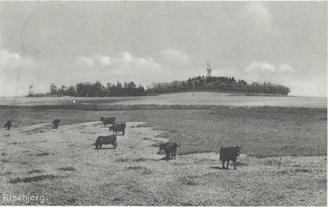 Risebjerget med udsigtstårn - ca. 1936 (B3566)