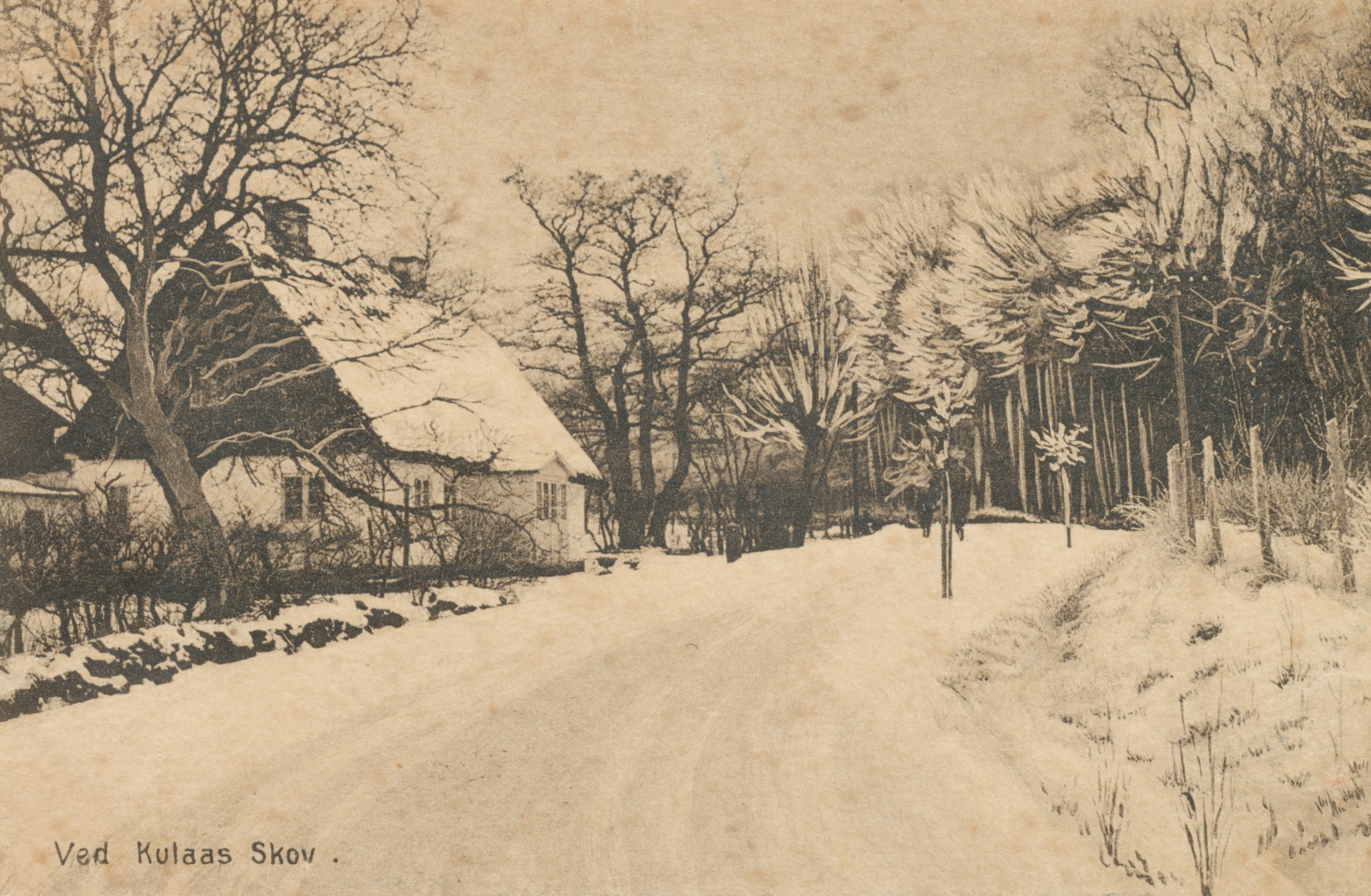 Ved Kulås Skov - ca. 1910 (B3575)