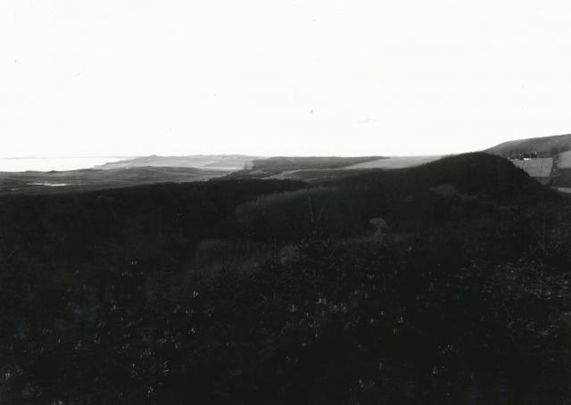Landskab. Bjergene - ca. 1900 (B3581)