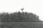 Udsigtstårnet på Risebjerget - ca. 1936 (B3630)