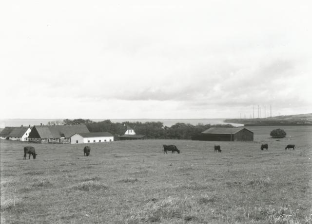 Næsgården, Ordrup Næs - ca. 1940 (B3641)