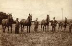 Hestefremvisning i 1920'erne (B142)