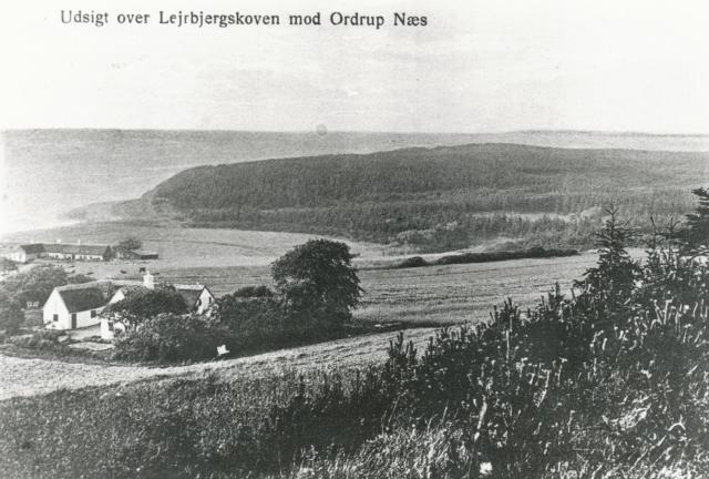 Udsigt over Lejrbjergskoven mod Ordrup Næs - ca. 1930 (B3750)