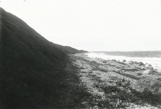 Stranden på østsiden af Ordrup Næs - ca. 1925 (B3760)