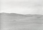 Landskab ved Ordrup - ca. 1930 (B3761)