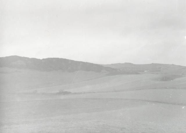 Landskab ved Ordrup - ca. 1930 (B3761)