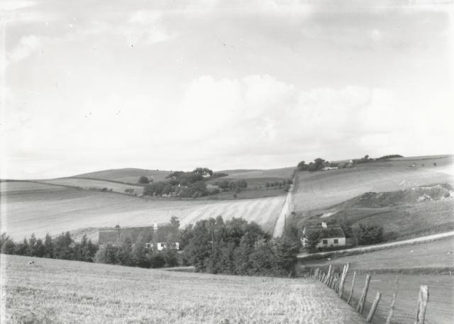 Veddinge. Joselbjergvej/Disbjergvej - ca. 1940 (B3789)