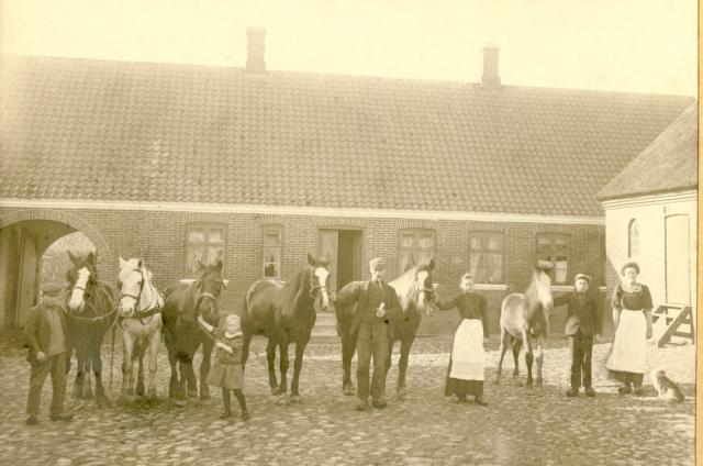 Damhøjgård - 1910 (B3868)
